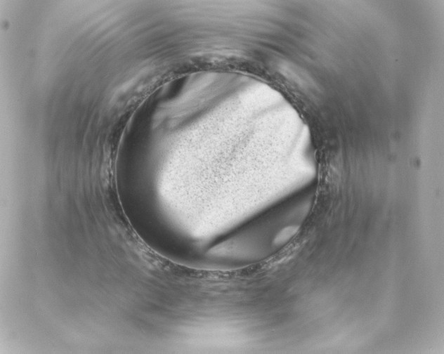 X0000088131014200705291327