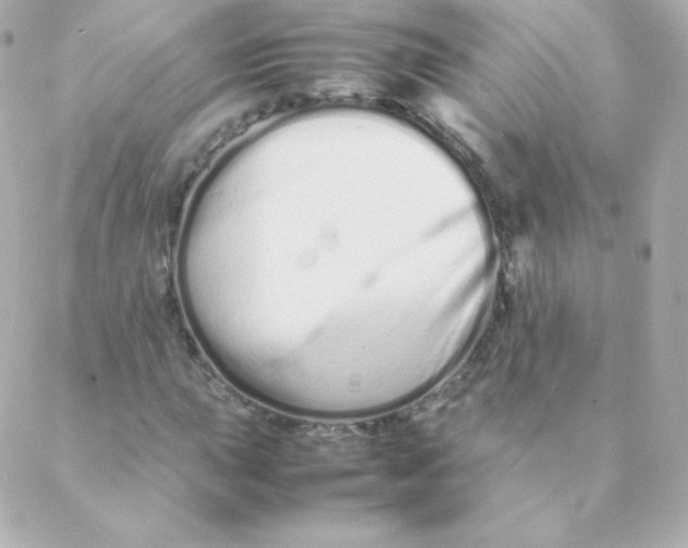 X0000088131015200705291327