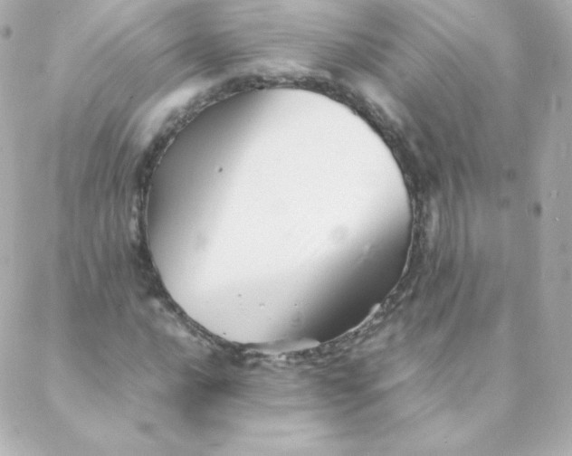 X0000088131016200705291327