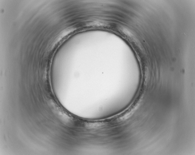 X0000088131017200705291327