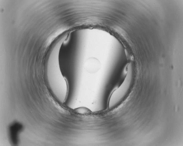 X0000088131018200705291327