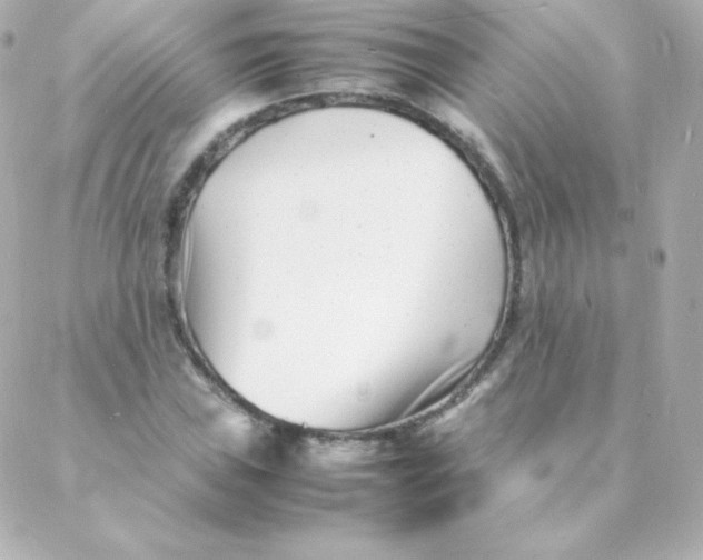 X0000088131019200705291327