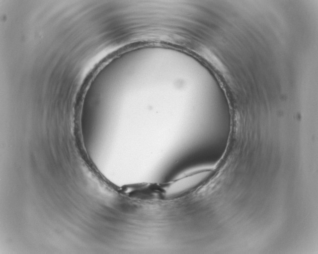 X0000088131020200705291327