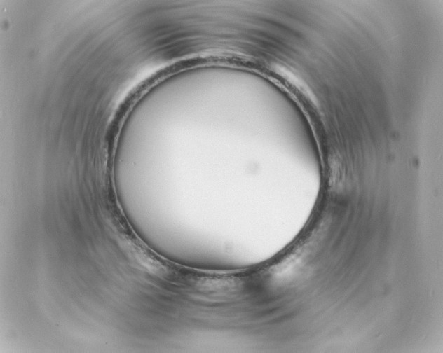 X0000088131021200705291327