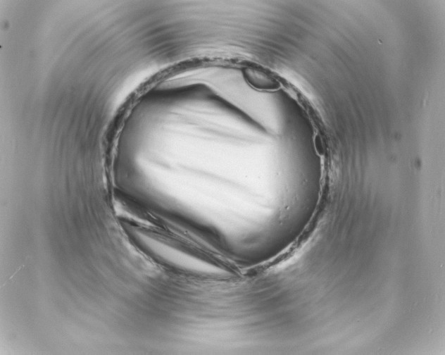 X0000088131022200705291327