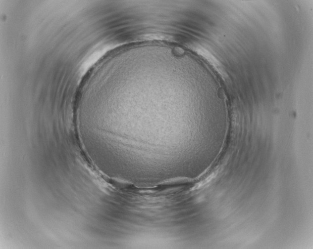 X0000088131023200705291328