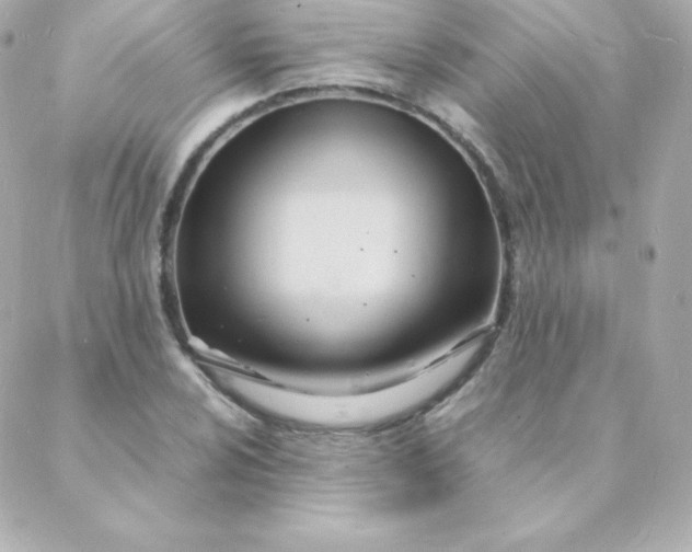 X0000088131024200705291328