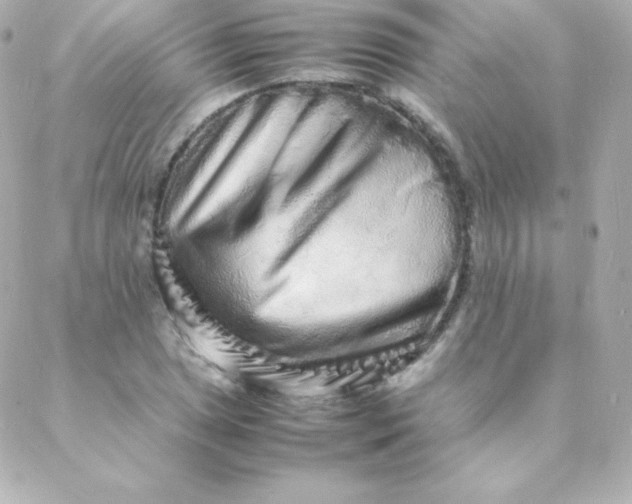 X0000088131025200705291328