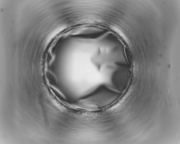 X0000088131026200705291328