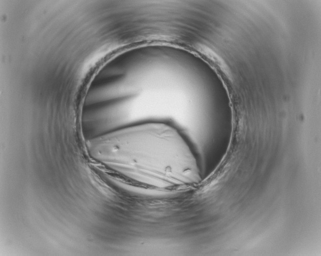 X0000088131027200705291328