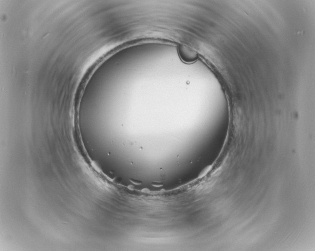 X0000088131028200705291328