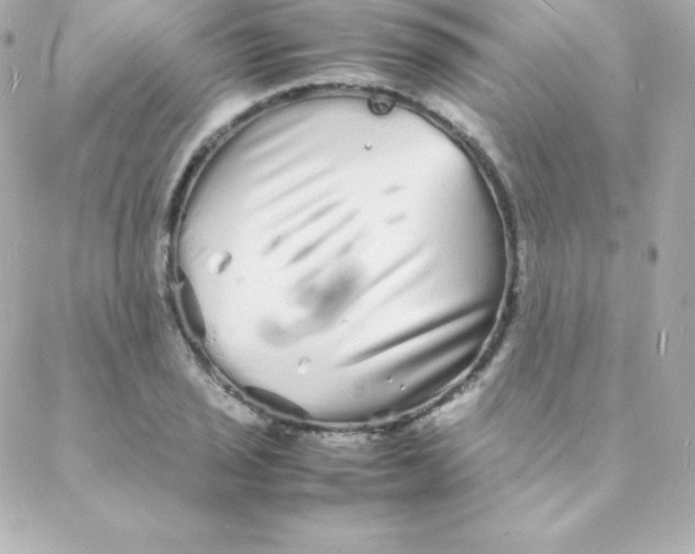 X0000088131029200705291328