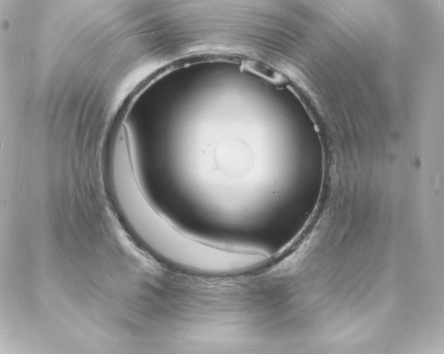 X0000088131030200705291328