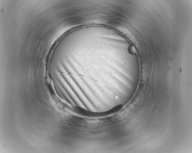 X0000088131031200705291328