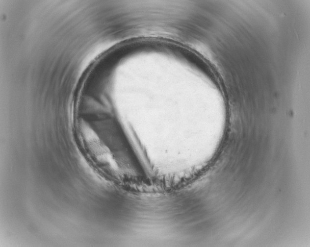 X0000088131032200705291328