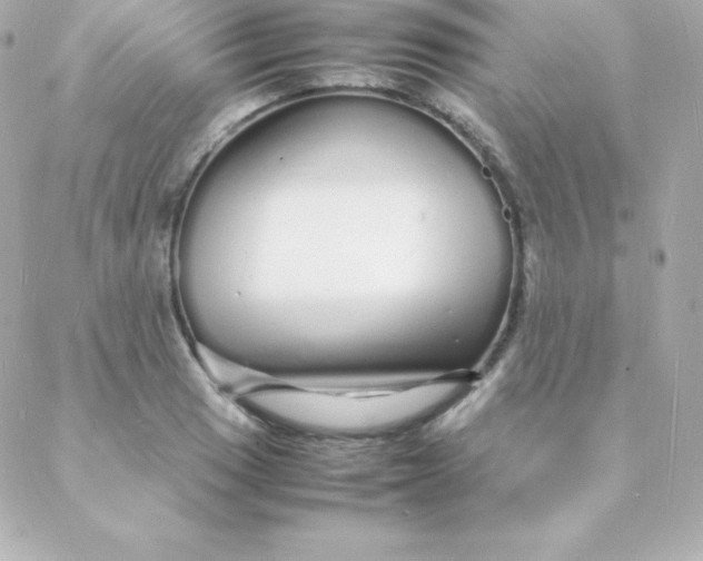 X0000088131033200705291328