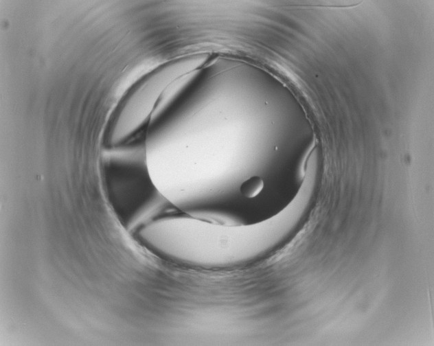 X0000088131034200705291328