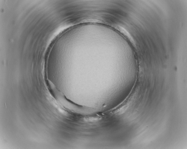 X0000088131035200705291328