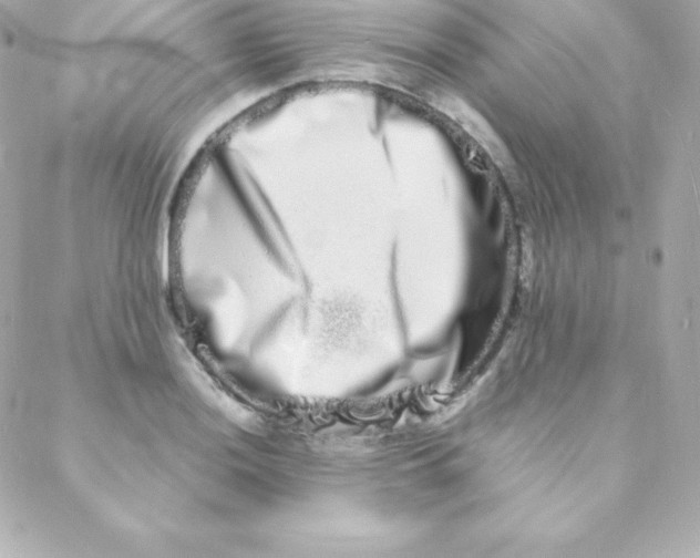 X0000088131036200705291328