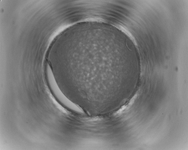 X0000088131037200705291328