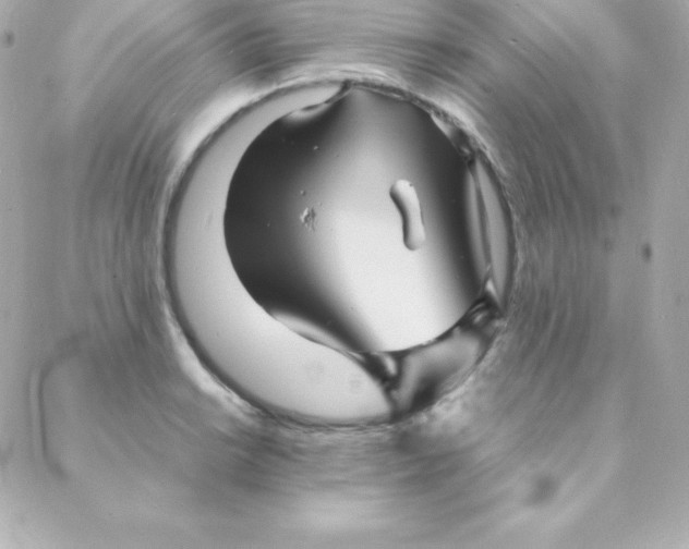 X0000088131038200705291328