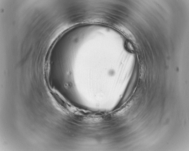 X0000088131039200705291328