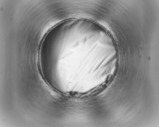 X0000088131040200705291328