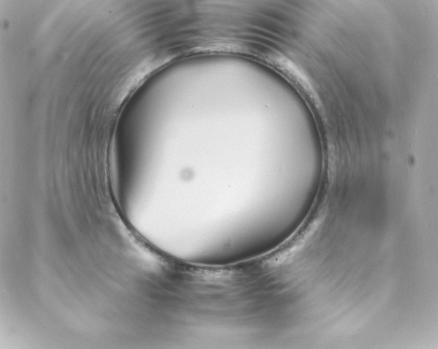 X0000088131041200705291328