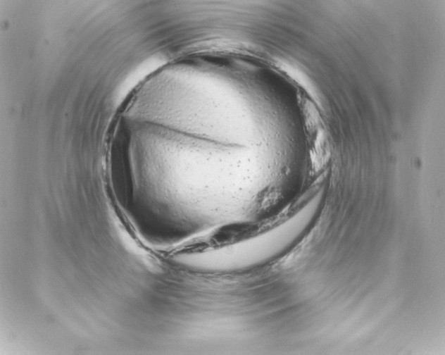 X0000088131042200705291328