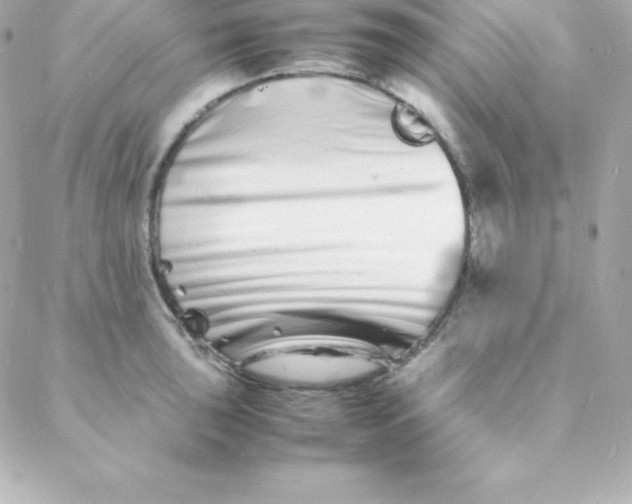 X0000088131043200705291328