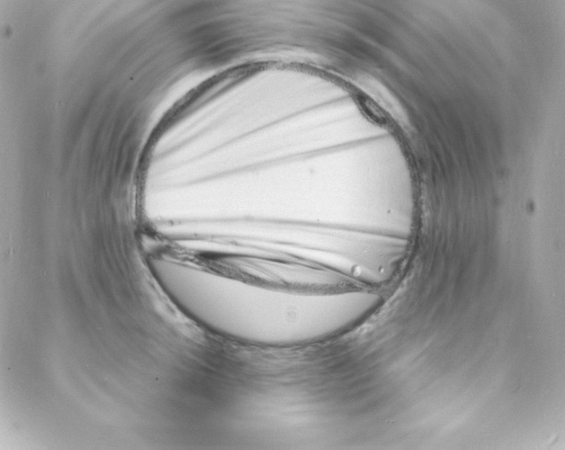 X0000088131044200705291328