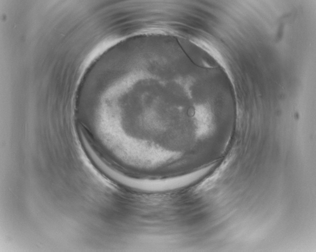 X0000088131045200705291328