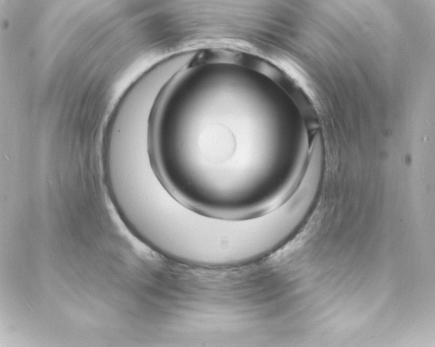 X0000088131046200705291328