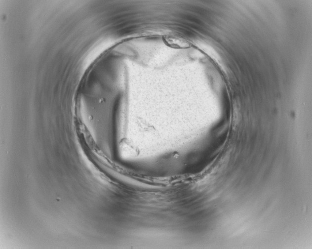 X0000088131047200705291328