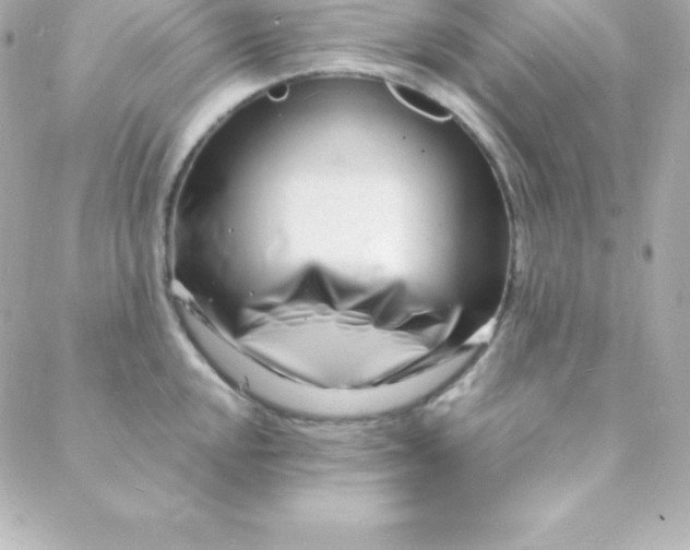 X0000088131048200705291328