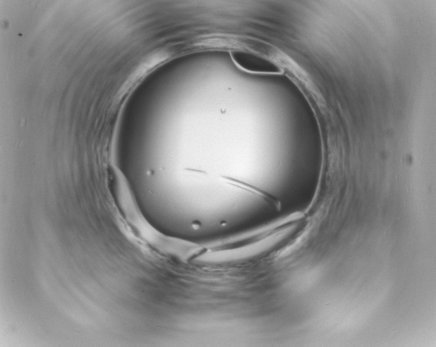 X0000088131049200705291328