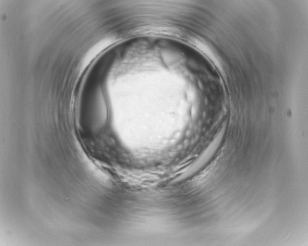 X0000088131050200705291328