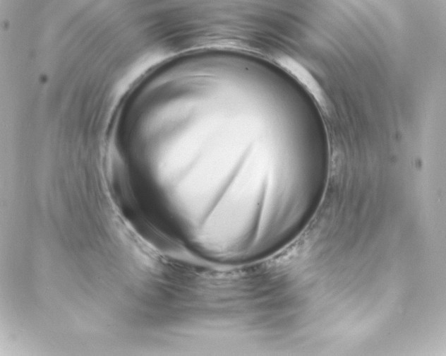 X0000088131051200705291328