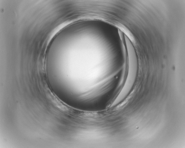 X0000088131052200705291328