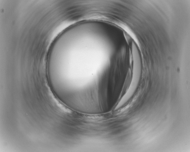 X0000088131053200705291328