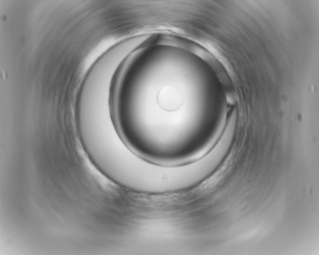 X0000088131054200705291328