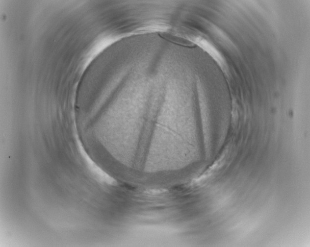 X0000088131055200705291328