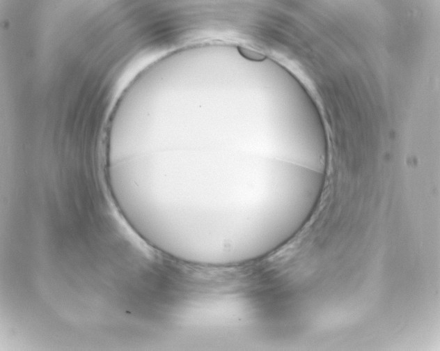 X0000088131056200705291328