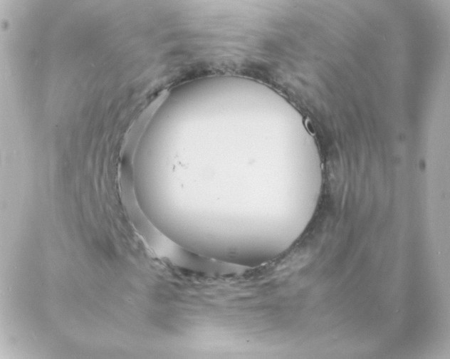 X0000088131057200705291327