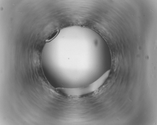 X0000088131058200705291327