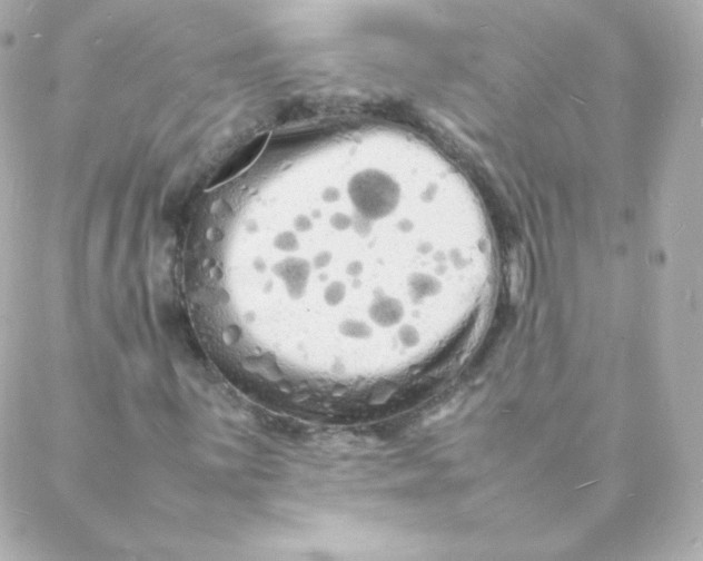 X0000088131059200705291327