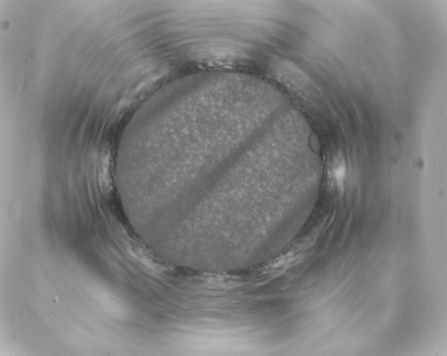 X0000088131060200705291327