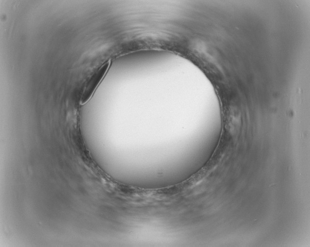 X0000088131061200705291327