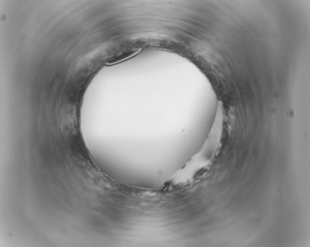 X0000088131062200705291327