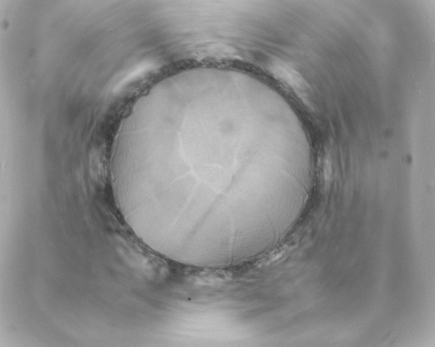 X0000088131063200705291327